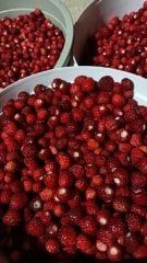 Dağ Çileği Reçeli(KAYA ŞEKERLİ)200 Gr