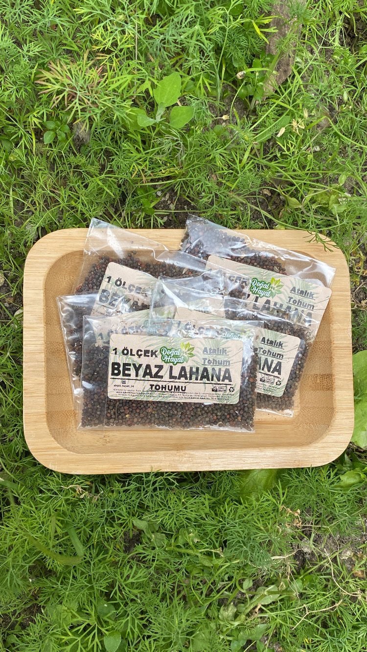 Beyaz lahana tohumu