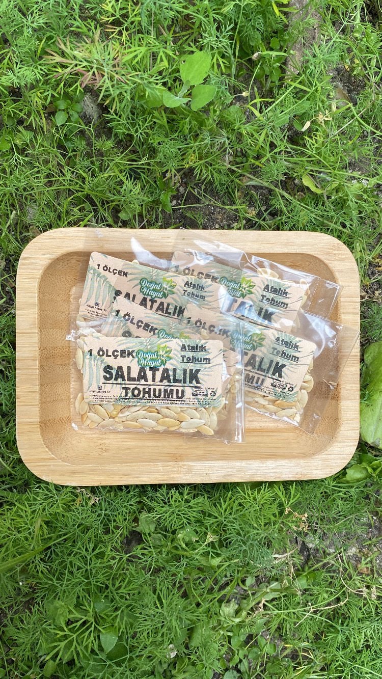 Salatalık tohumu