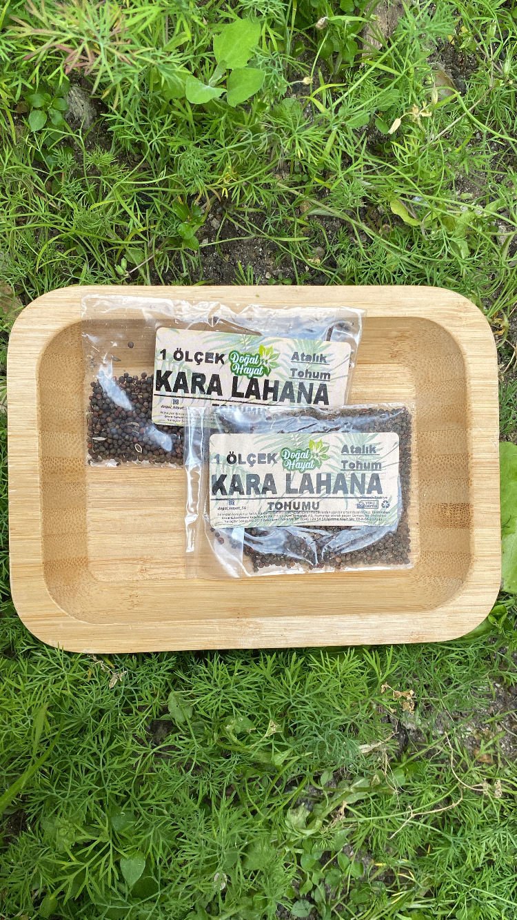 Kara Lahana Tohumu