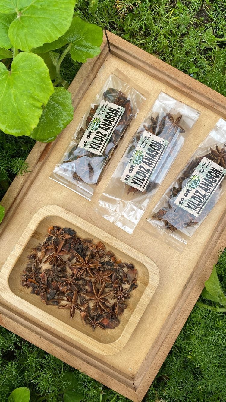 Yıldız Anason 20 Gr