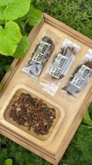 Yıldız Anason 20 Gr