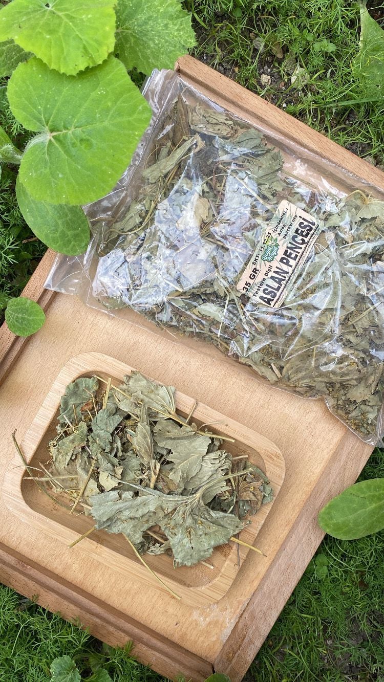 Aslan Pençesi (Testere Dişli ) 35 Gr