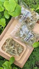 Civan Perçemi 35 gr CİVANPERÇEMİ