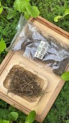 Dağ Kekiği  Çayı 20 Gr