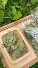 Defne Yaprağı 20 Gr