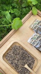 Deve Dikeni Tohumu 60 Gr