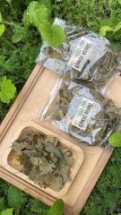Ginkgo Biloba 35 Gr