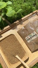 Haşhaş 100 Gr
