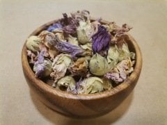 Hatmi Çiçeği 20 Gr