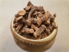 Havlıcan Kökü 50 Gr