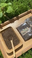 Isırgan Tohumu 50 Gr