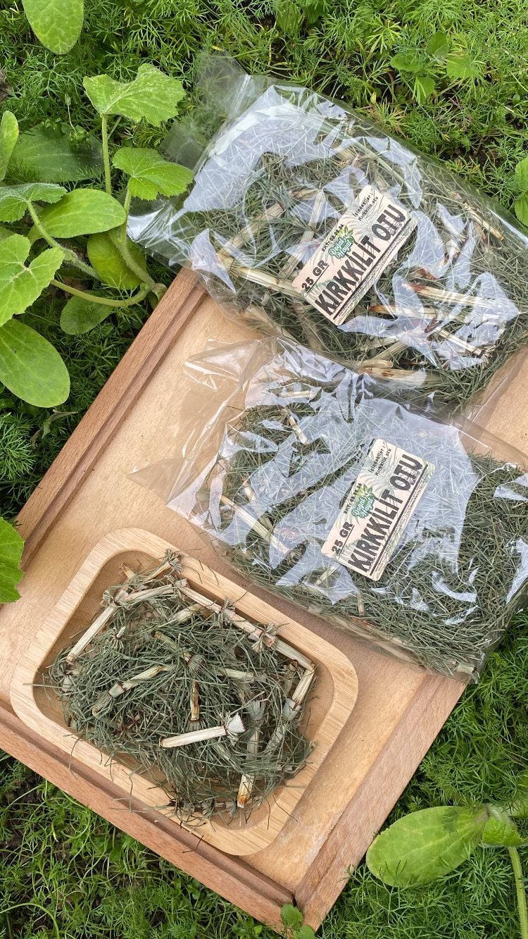 Kırkkilit Otu 25 Gr (At kuyruğu)