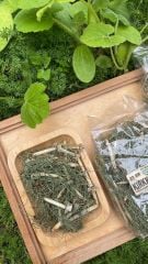 Kırkkilit Otu 25 Gr (At kuyruğu)