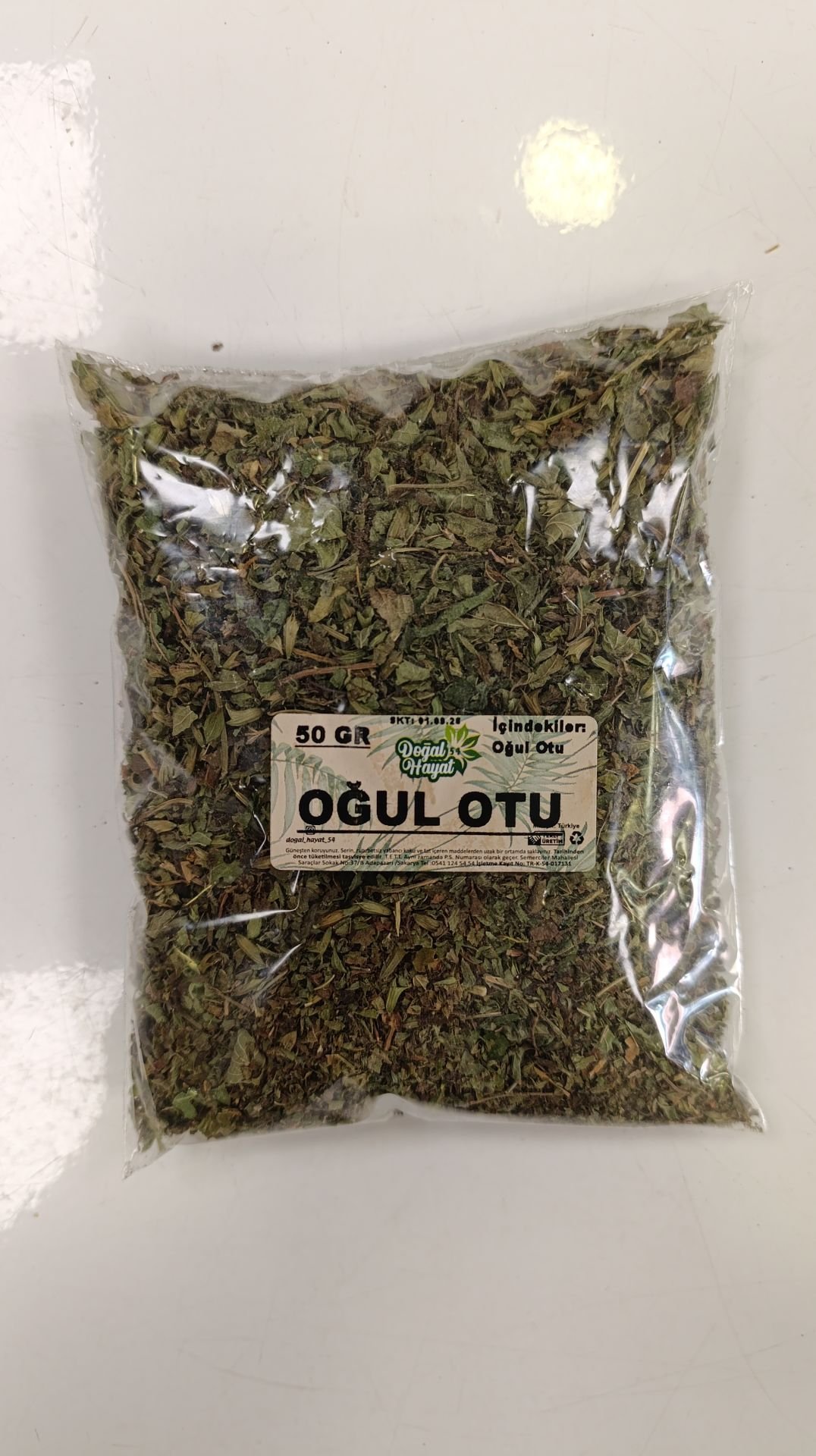 Oğul otu