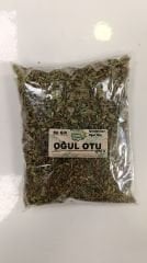 Oğul otu