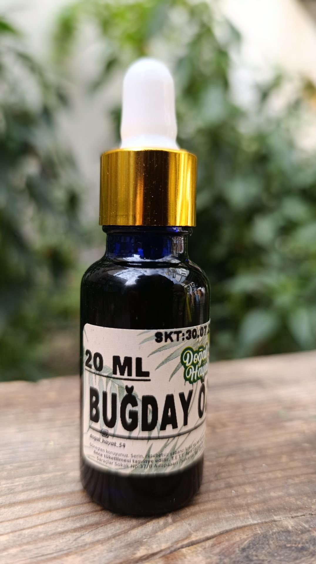 Buğday özü yağı