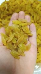 Tire Üzümü (Sarı üzüm) 250 gr