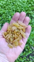 Tire Üzümü (Sarı üzüm) 250 gr