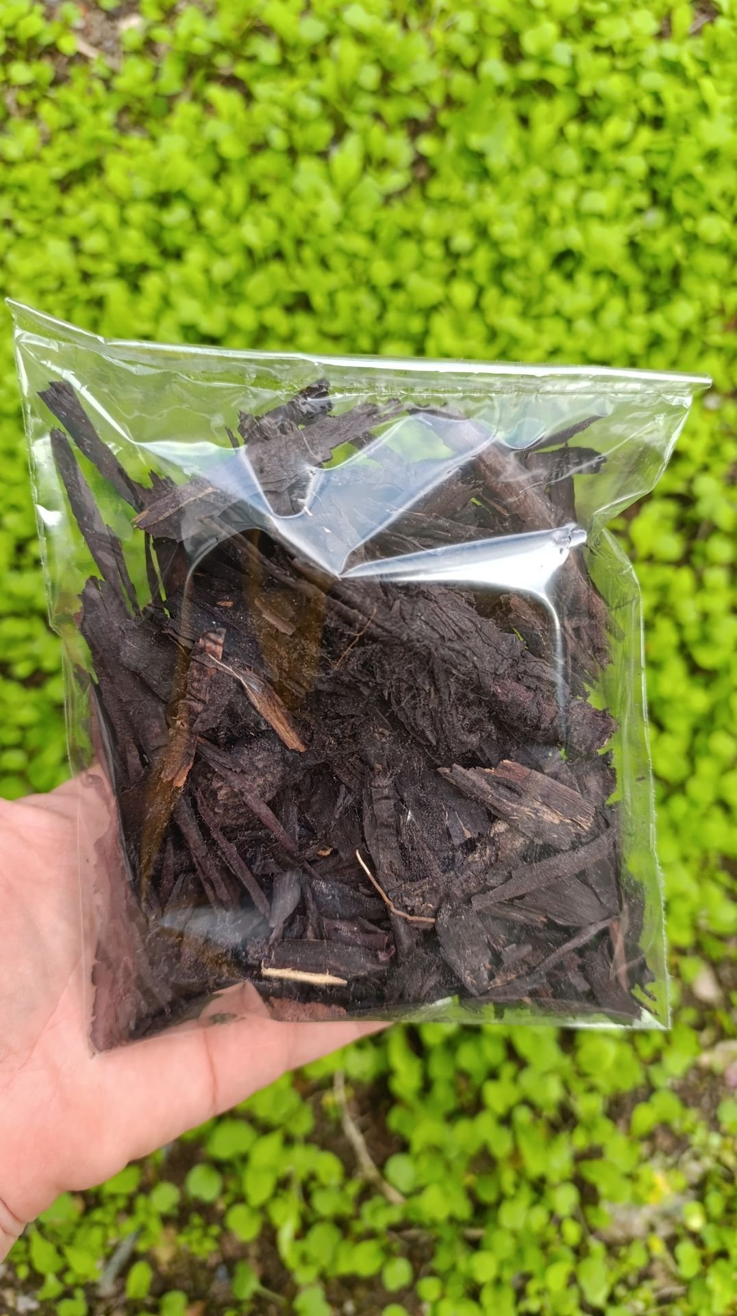 HAVA CİVA OTU 50 gr