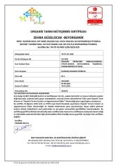 Organik Çikolata Artizan Sütlü Fındıklı 40gr