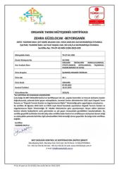 Organik Çikolata Artizan Sütlü 40gr