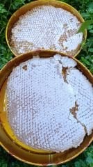 KARAKOVAN PETEK BALI 1,250 gr