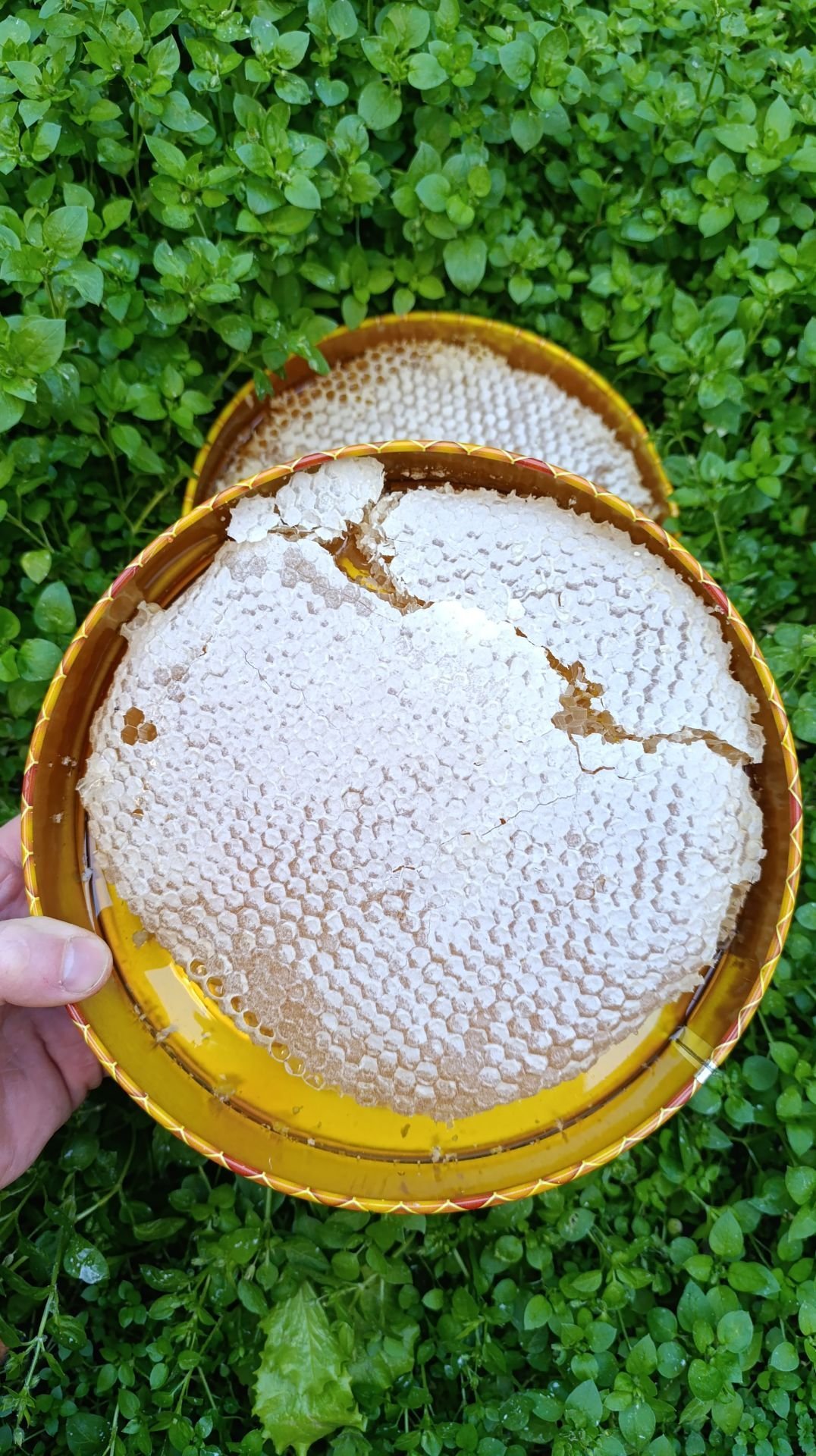 KARAKOVAN PETEK BALI 1,250 gr