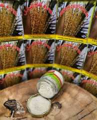 Hurma Poleni 15 Gr
