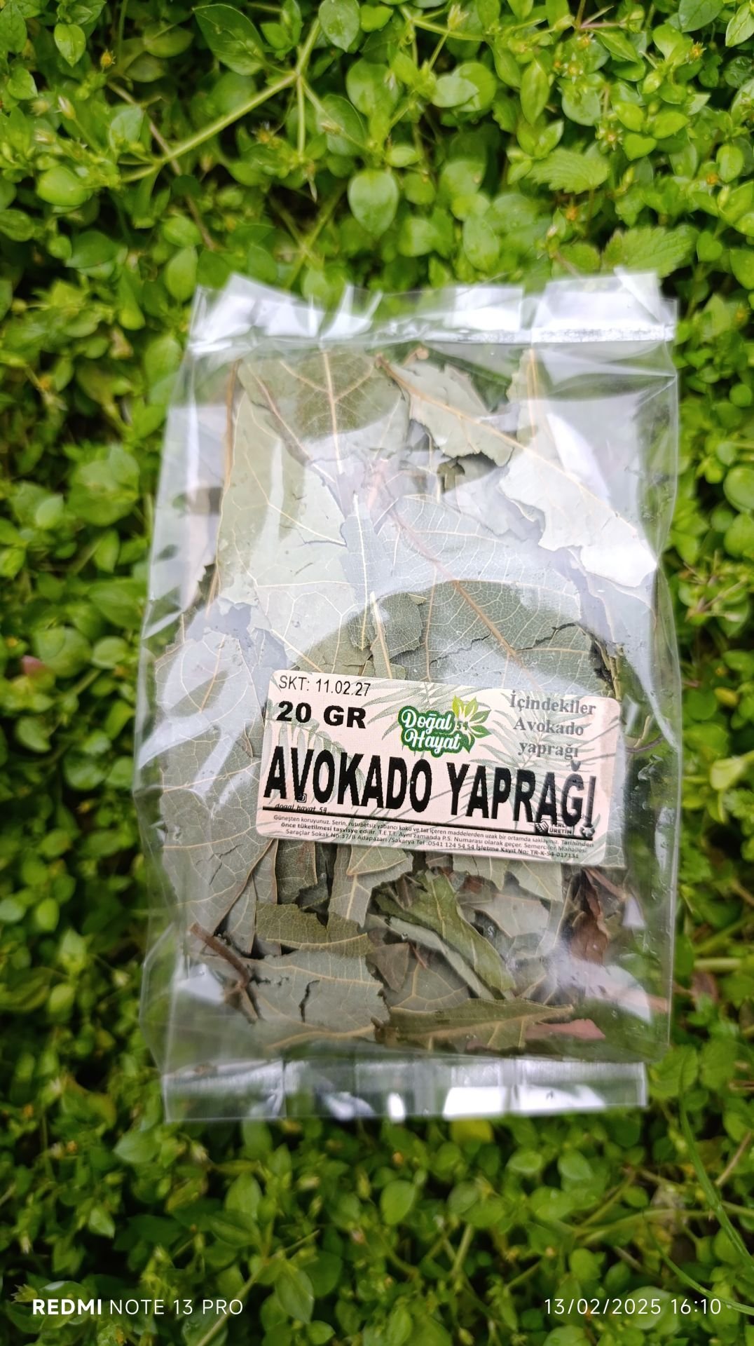AVOKADO YAPRAĞI 20 GR