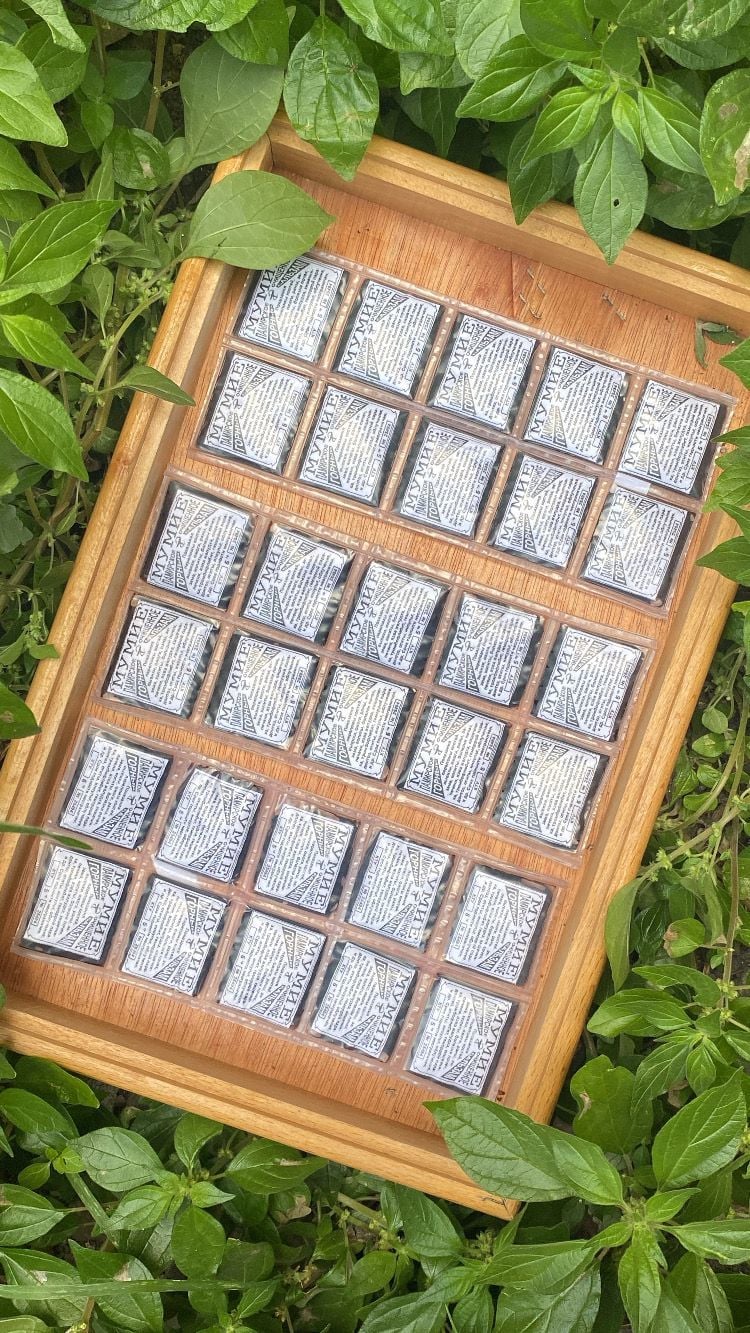 Mumiyo 5 Gr 10'lu Plaka