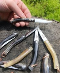 KOÇBOYNUZU KÜÇÜK ÇAKI