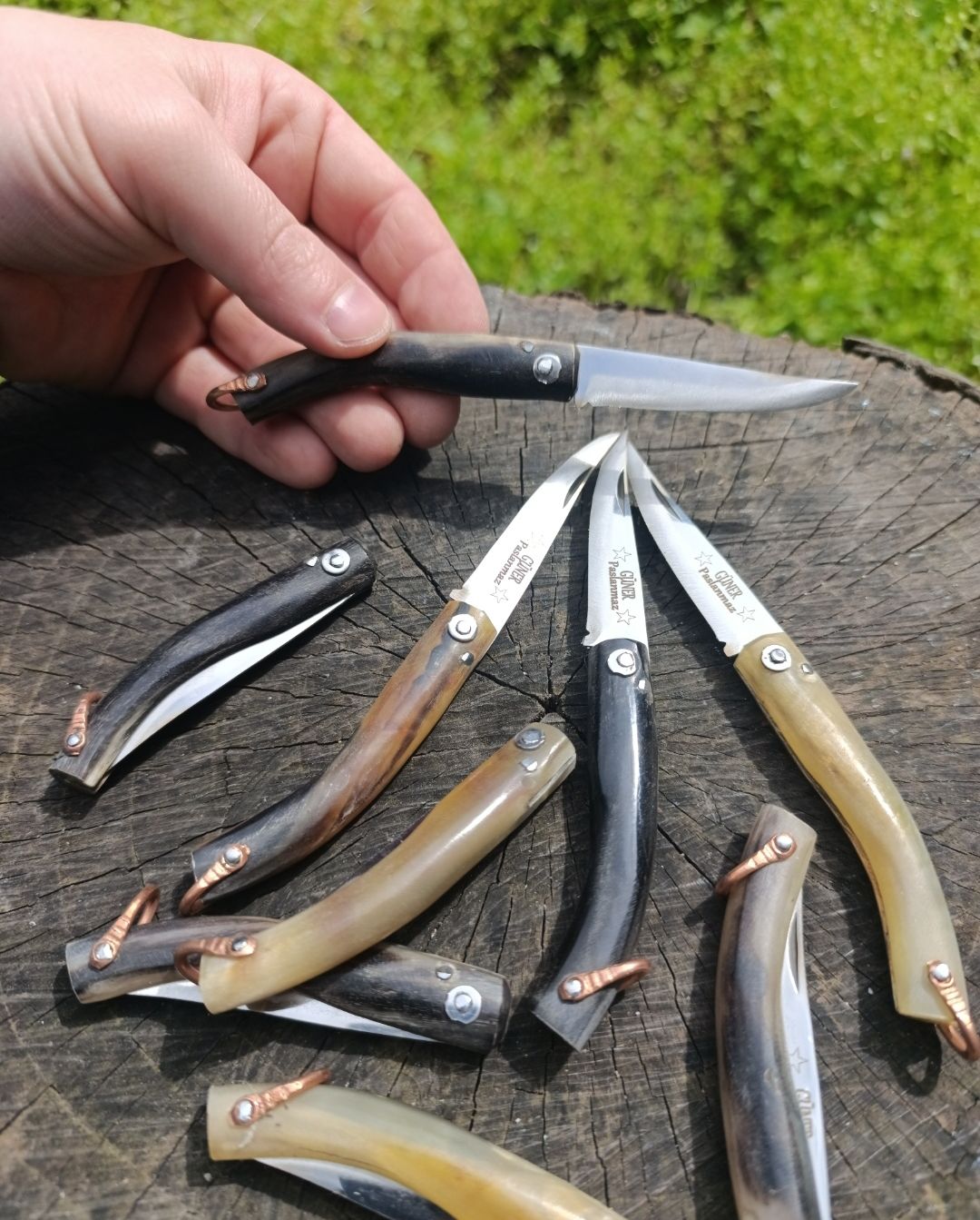 KOÇBOYNUZU KÜÇÜK ÇAKI