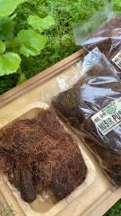 Mısır Püskülü 40 Gr