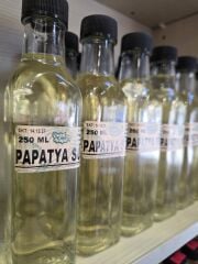 PAPATYA SUYU 250 ML