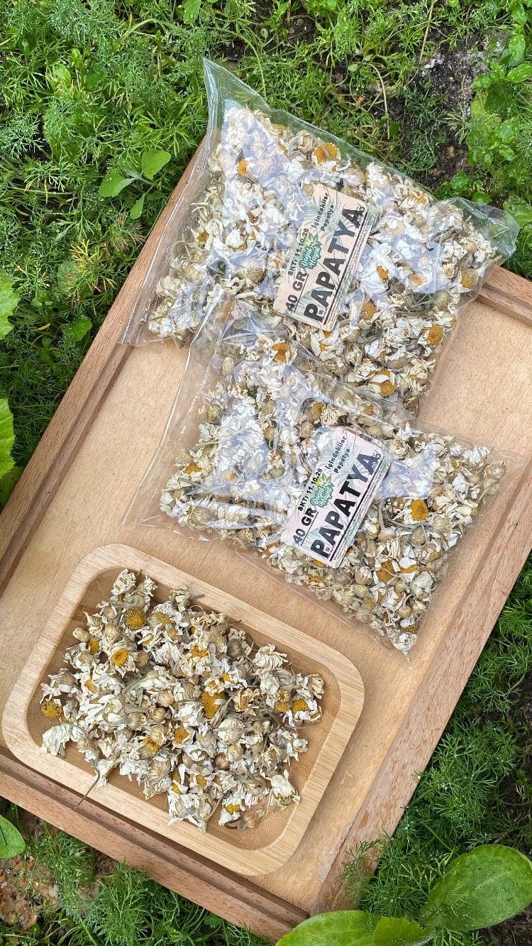 Papatya 40 Gr
