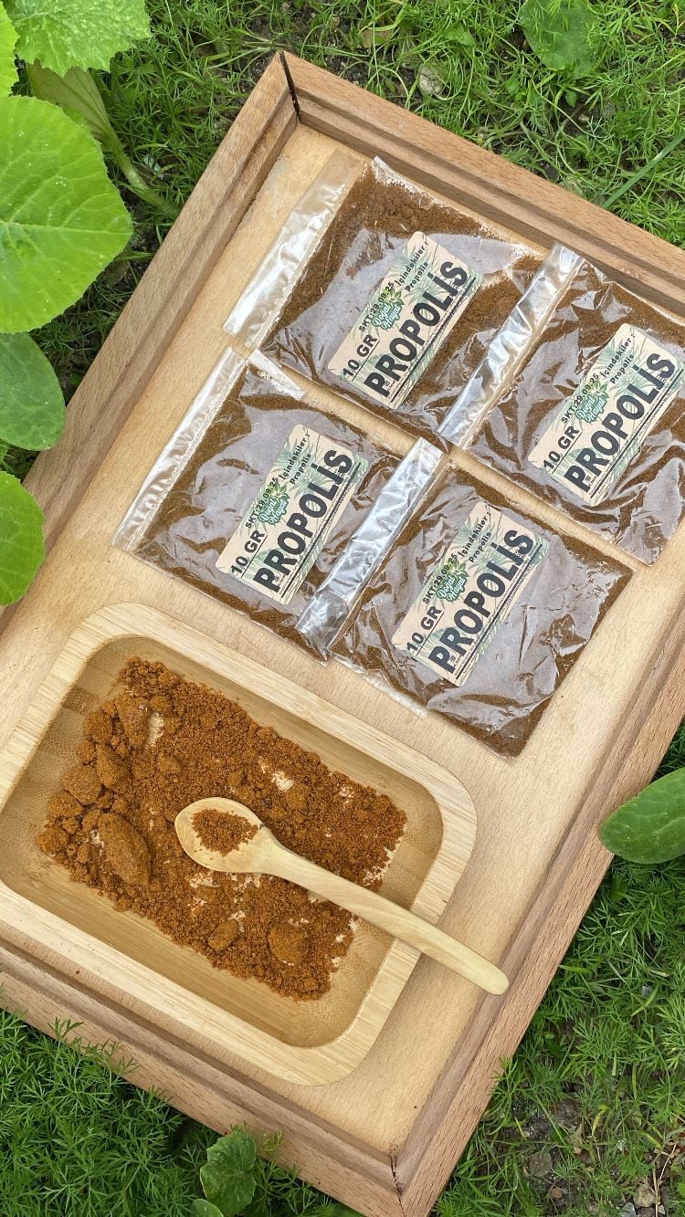 Propolis (Toz) 10 Gr