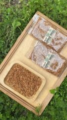 Süpürge Tohumu 100 Gr