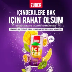 ZÜBER Ice Tea Tropik Meyve 250ml
