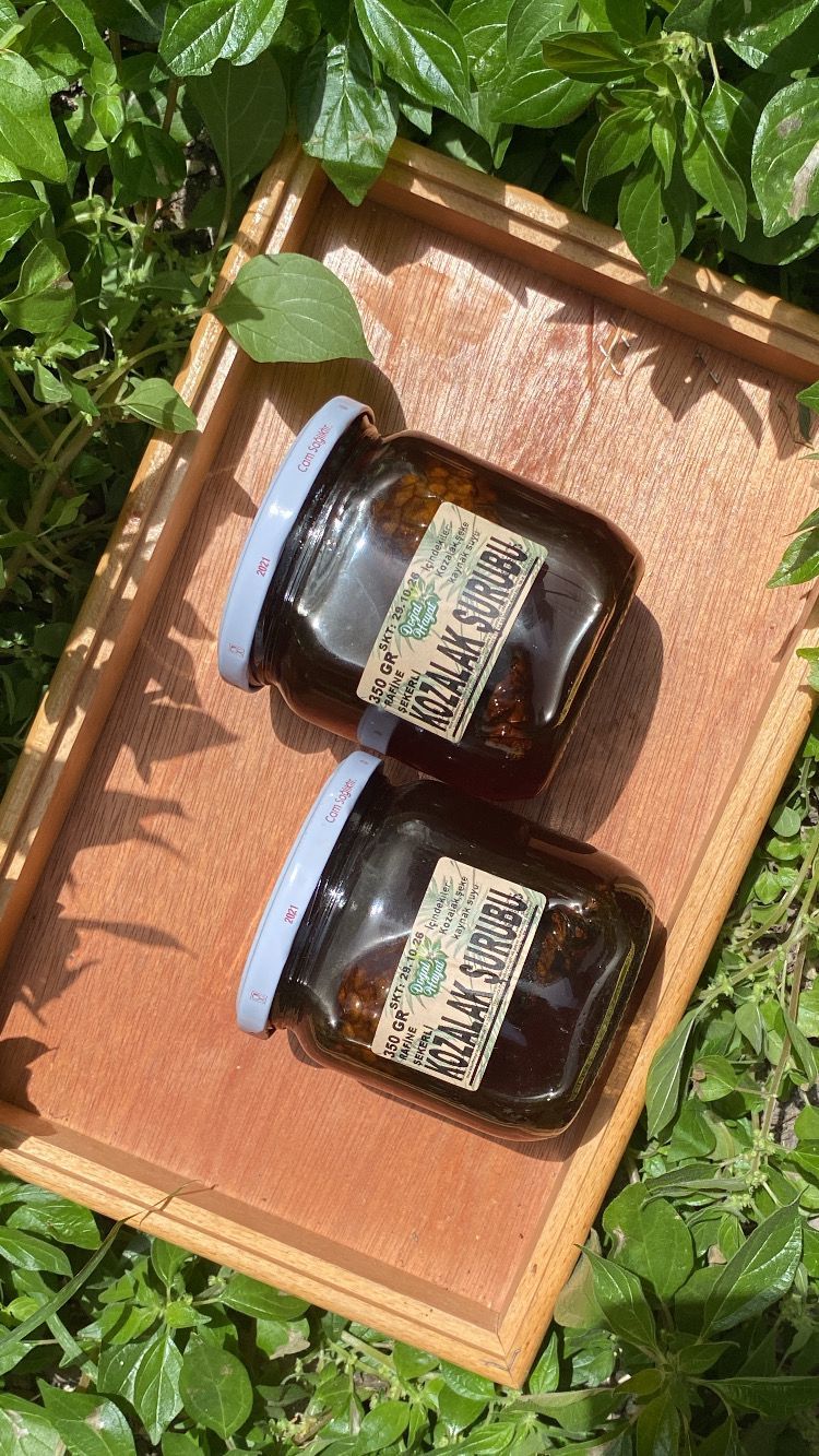 Kozalak Şurubu (Rafine Şekerli) 400 Gr