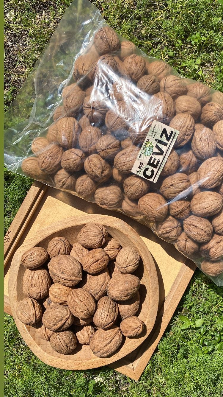 Ceviz (Kabuklu) 1 Kg