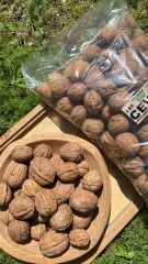 Ceviz (Kabuklu) 1 Kg