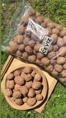 Ceviz (Kabuklu) 1 Kg