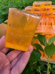 KOJİK ASİT SABUNU (ADET)