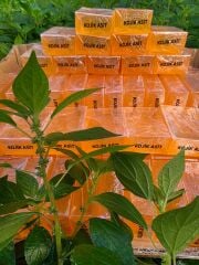 KOJİK ASİT SABUNU (ADET)