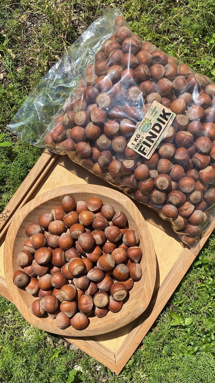 Fındık (Kabuklu Fındık) 1 Kg