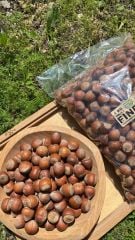 Fındık (Kabuklu Fındık) 1 Kg