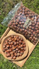 Fındık (Kabuklu Fındık) 1 Kg