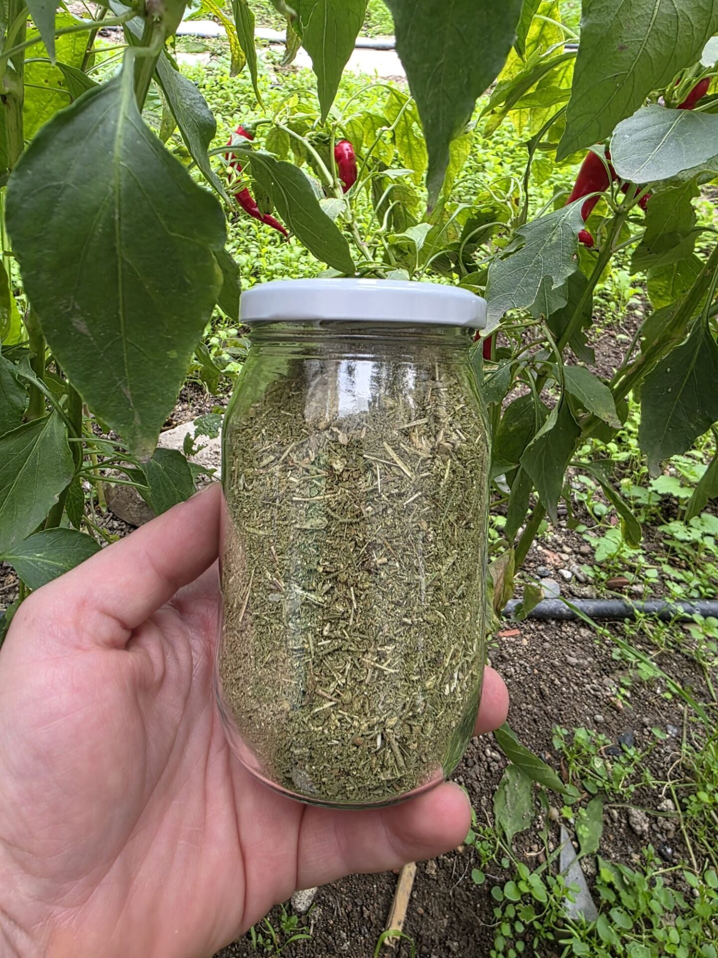 KOLESTEROL KÜRÜ 80 GR