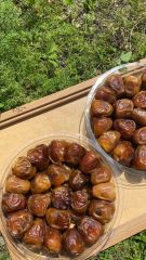 Yaş (TAZE) Hurma 500 Gr